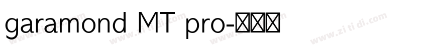 garamond MT pro字体转换